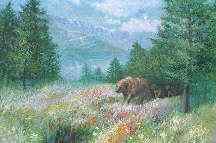 Big Bear Bears Big Bear Bears